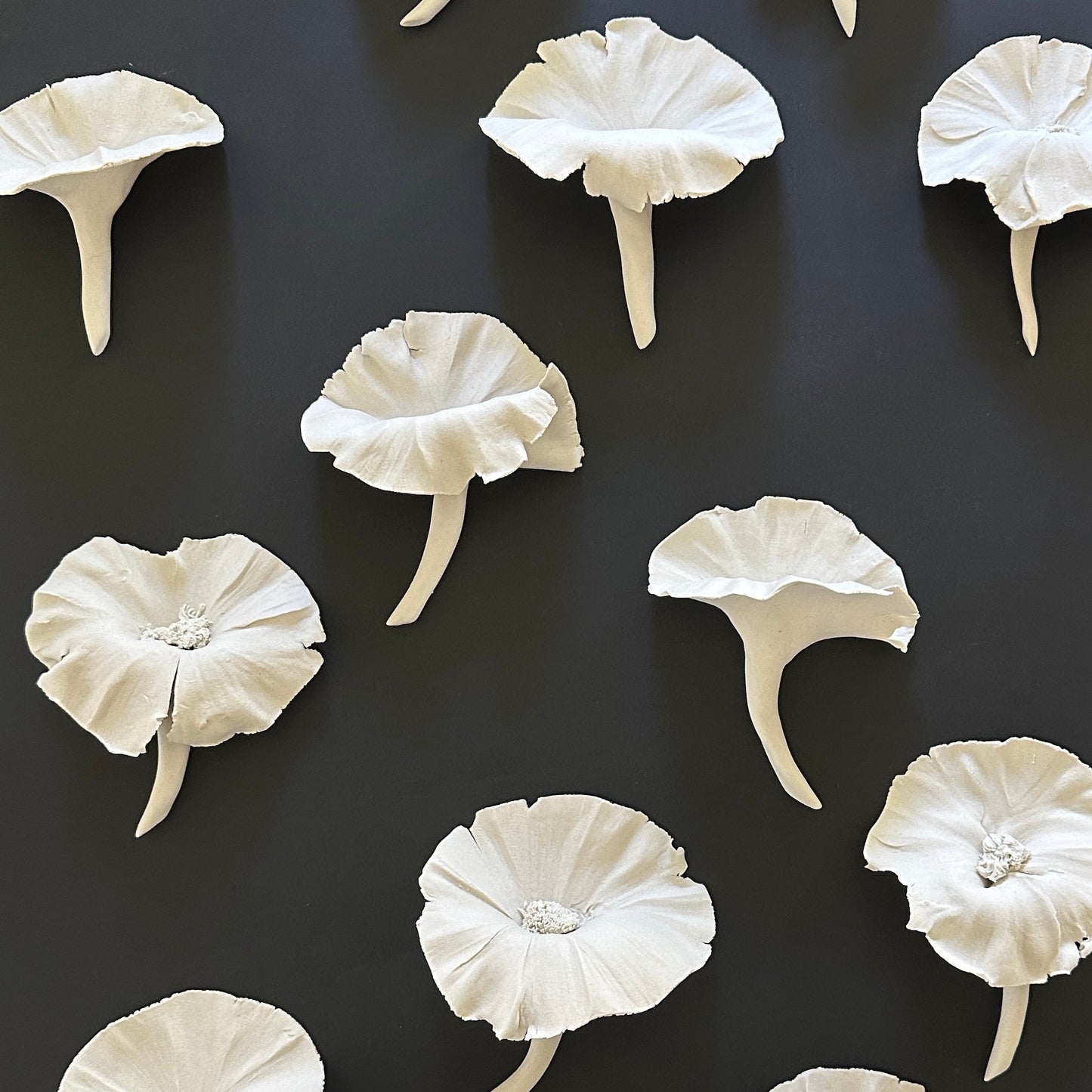 A collection of white porcelain flowers with a black background.