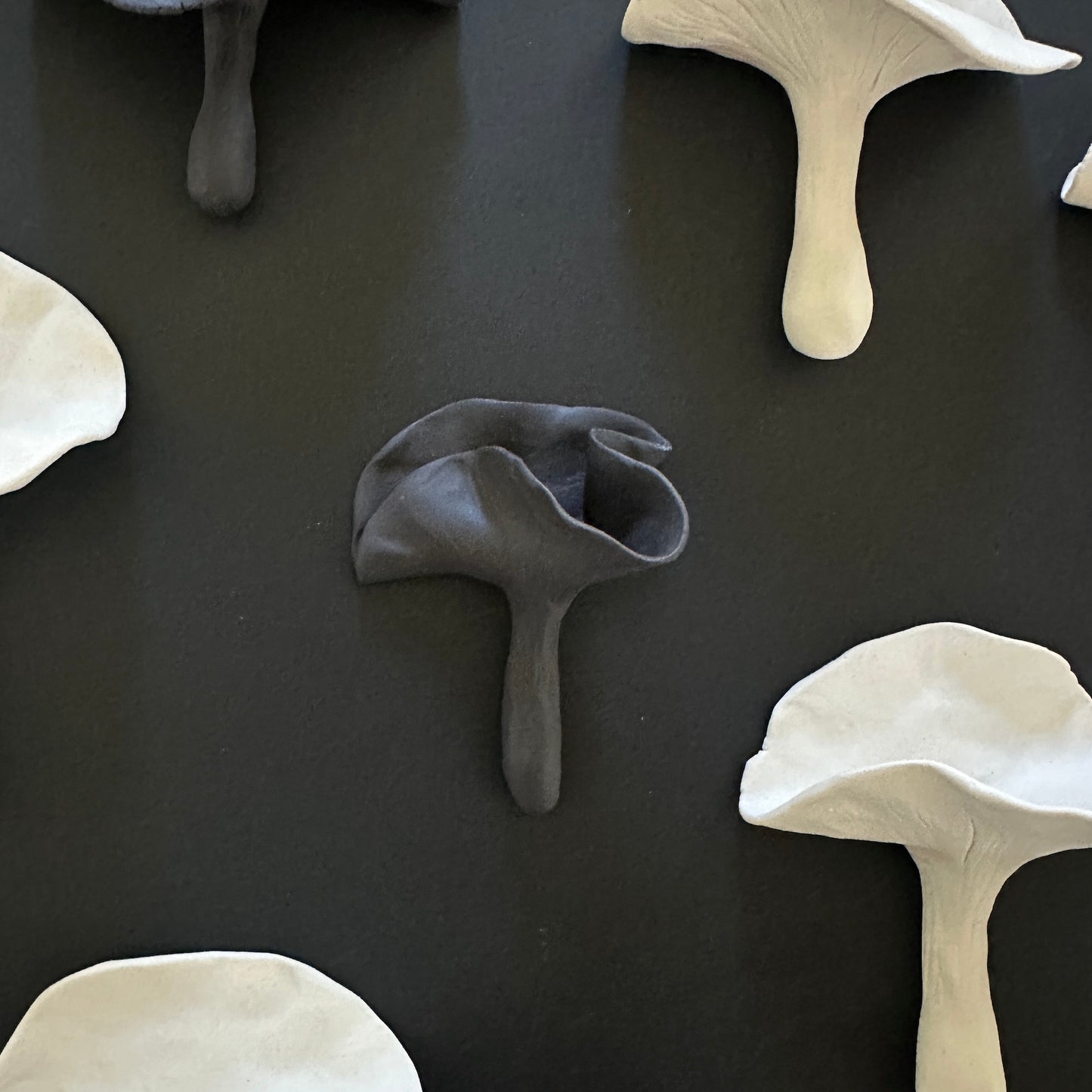 MUSHROOMS MIX