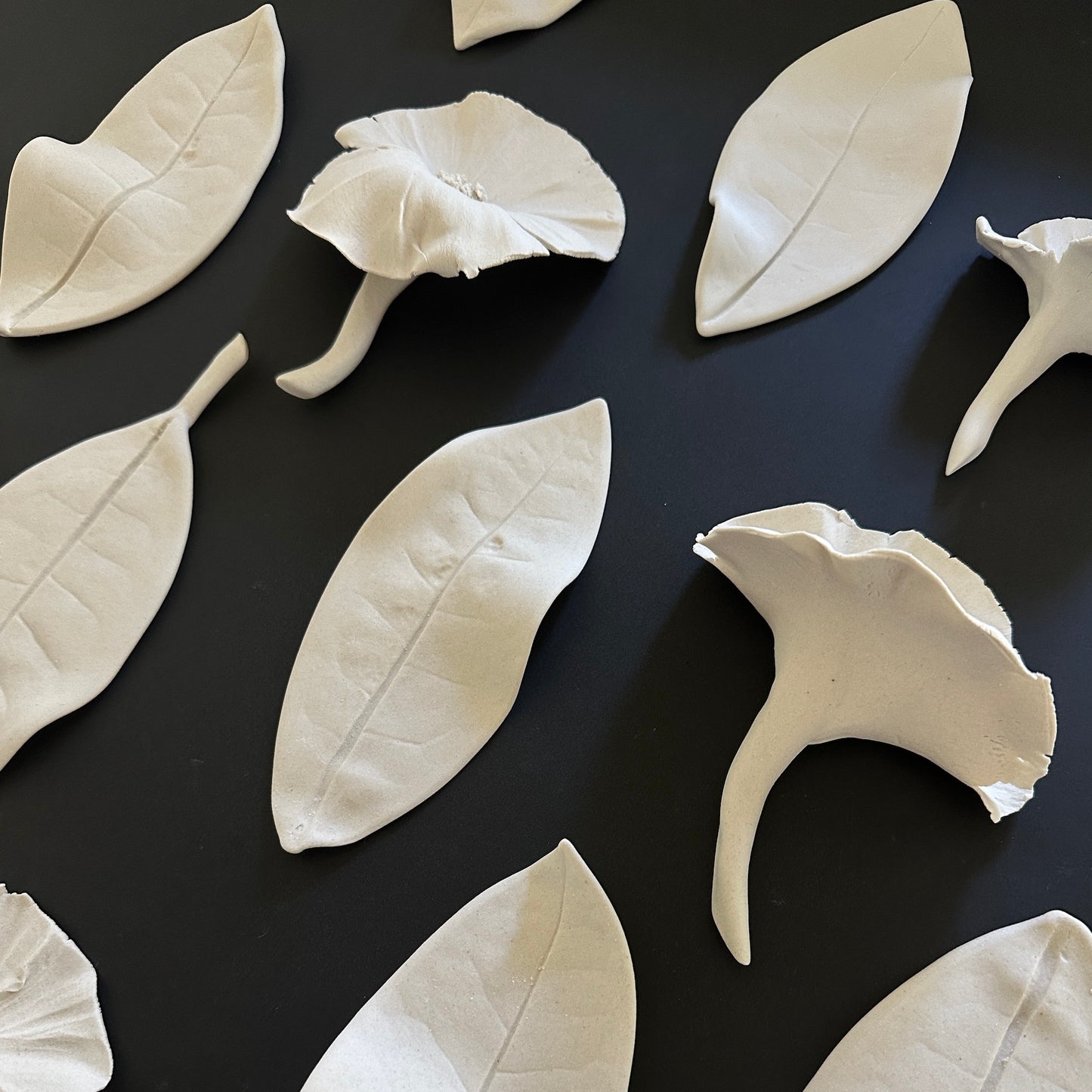 FLOWERS AND LEAVES