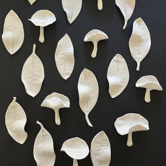 WHITE MUSHROOMS AND LEAVES
