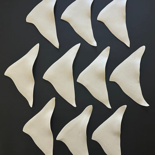 KITES