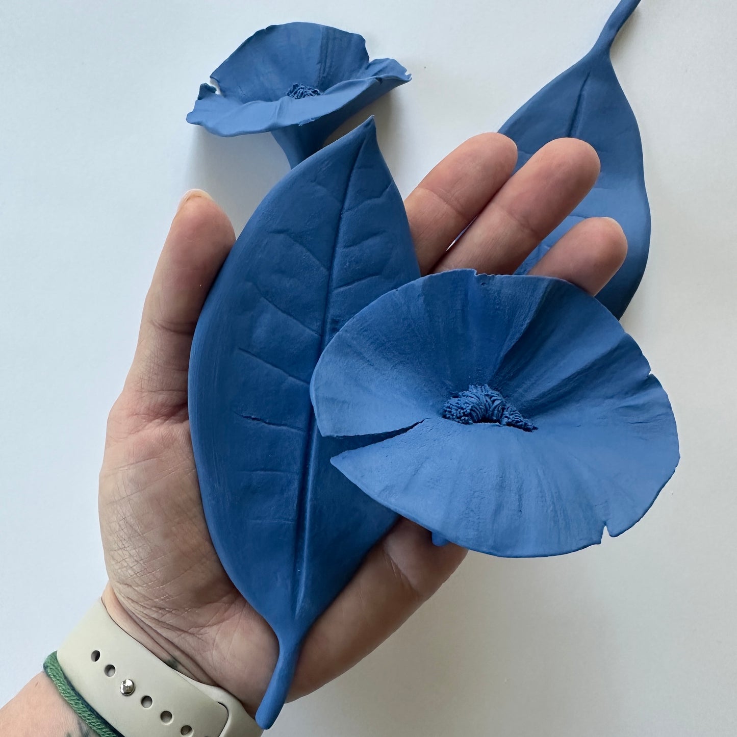 FLOWERS AND LEAVES