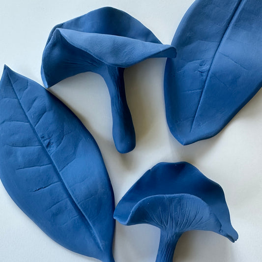BLUE MUSHROOMS AND LEAVES