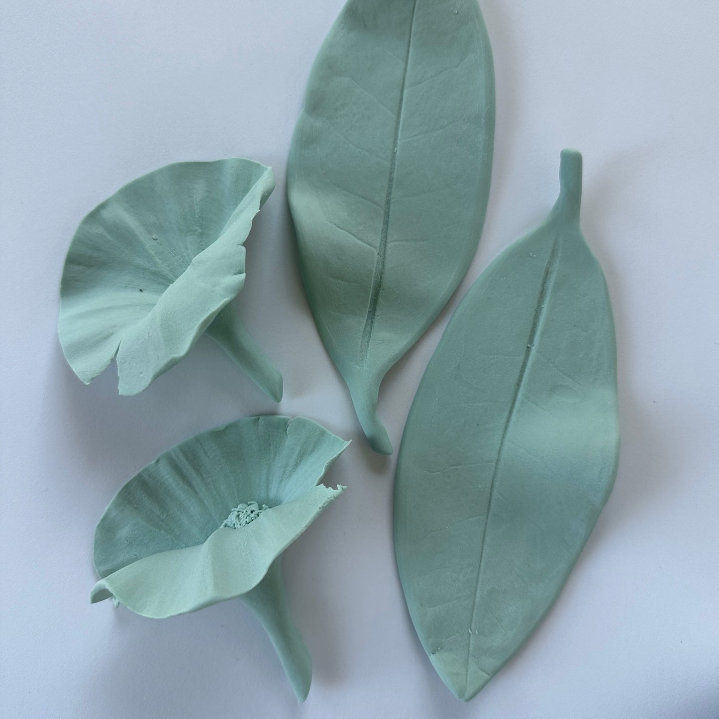 FLOWERS AND LEAVES