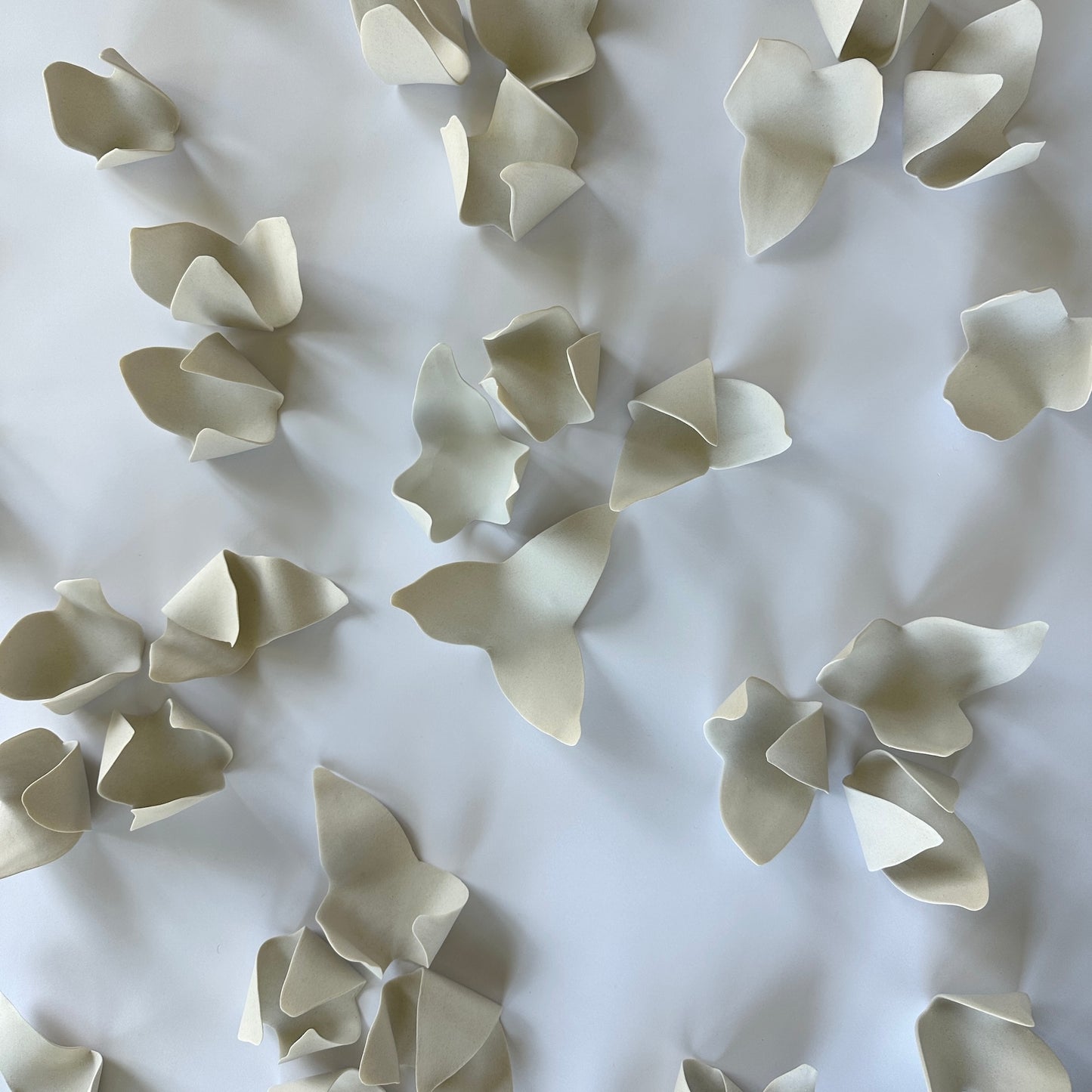 PETALS