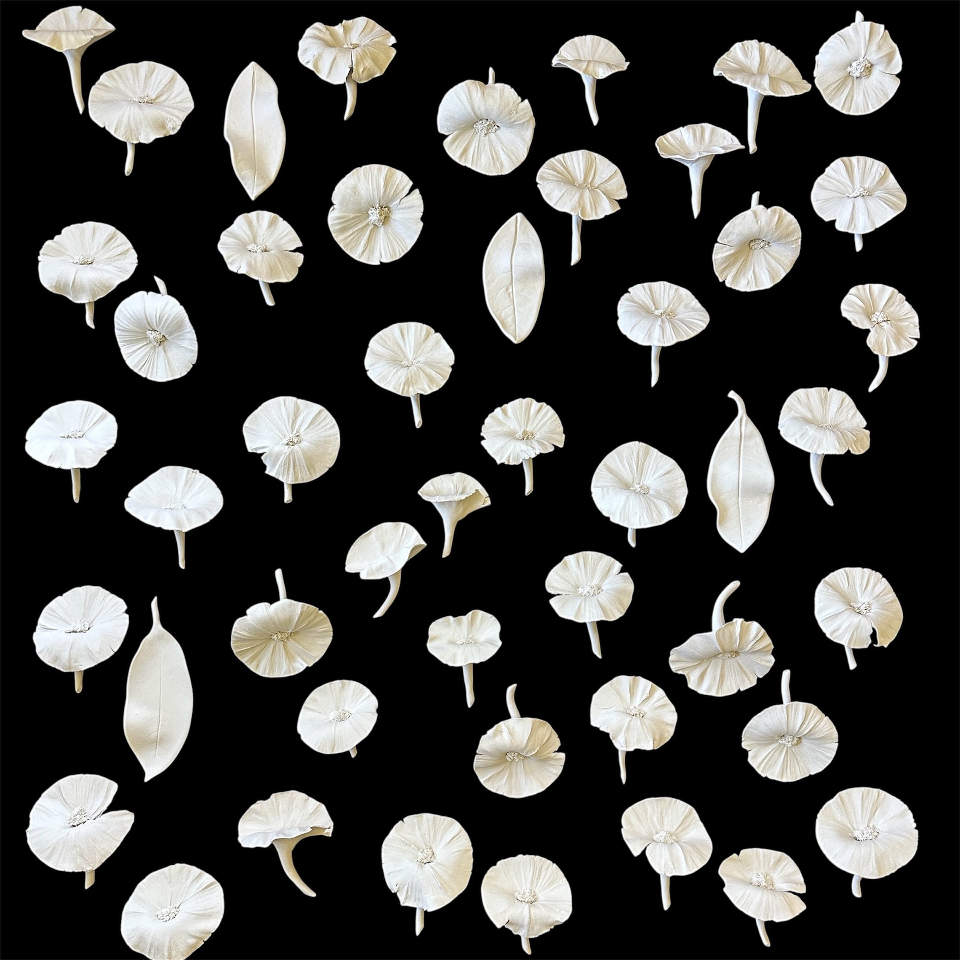 White ceramic floral petals on a black background