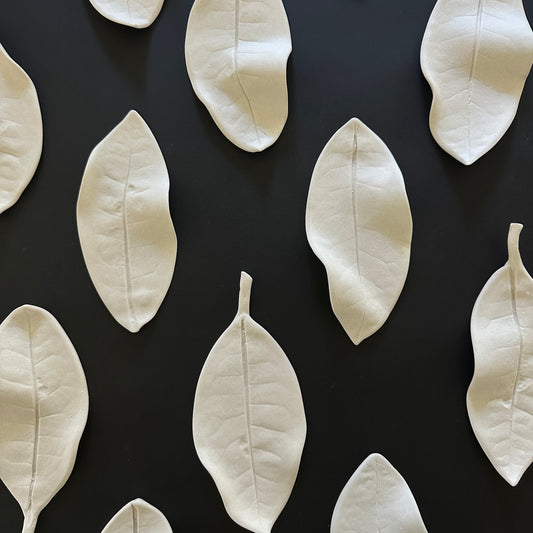 A collection of white porcelain leaves arranged on a black background.